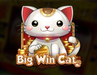 Big Win Cat