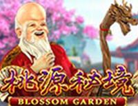 Blossom Garden