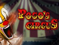 Pogo's Circus