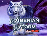 Siberian Storm Dual