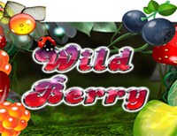 Wild Berry
