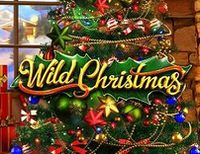 Wild Christmas